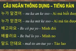 100+ Mẫu câu Tiếng Hàn thông dụng cho cuộc sống hàng ngày